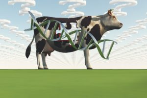 Read more about the article Application of Genomics on Dairy Farms