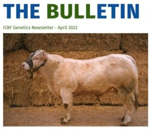 Read more about the article The BULLetin – April 2022