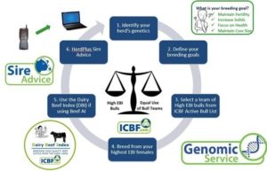 Read more about the article Managing Your 2022 Breeding Season