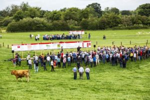 Read more about the article Visit us at the IFJ Beef & Sheep Open Day