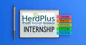 Read more about the article 2023 HerdPlus Student Internship