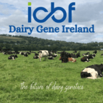 Why not consider Dairy Gene Ireland this Spring?