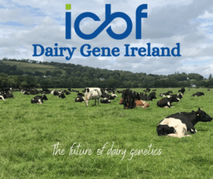 Why not consider Dairy Gene Ireland this Spring?