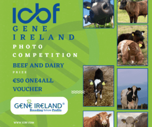 Gene Ireland Photo Competition