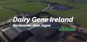 Read more about the article Dairy Gene Ireland Breeder Profile: Alan Jagoe