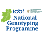 In case you missed it! National Genotyping Webinar with a focus on SCEP herds