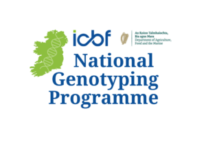 Read more about the article In case you missed it! National Genotyping Webinar with a focus on SCEP herds