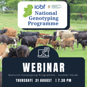 Read more about the article Webinar: National Genotyping Programme- Beef Herds
