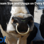 Bull Team Size and Usage on Dairy Farms