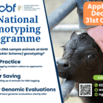 NGP Application Deadline Extended to 31st October 2023