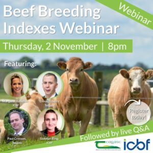 Read more about the article In case you missed it: Beef Breeding Indexes Webinar