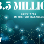 ICBF Surpasses 3.5 Million Genotypes in the National Database