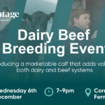 ABP Dairy Beef Breeding Event