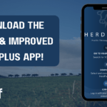 ICBF launches new App – ICBF HerdPlus – Download today for FREE!