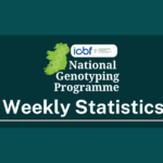 NGP Weekly Update 28.01.26