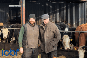 Read more about the article Gene Ireland User Profile: The Kelly Farm, Co. Tipperary