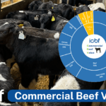 Commercial Beef Value-All you need to know!