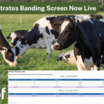 2024 Dairy Banding deadline extended to 15th May