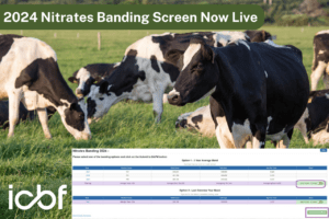 Read more about the article Nitrates Band Screen 2024-Now Live