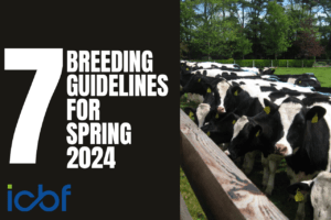 Read more about the article Dairy Breeding Guidelines for Spring 2024