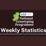 NGP Weekly Update 03.02.26