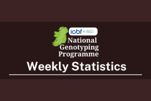 Read more about the article NGP Weekly Update 04.03.25