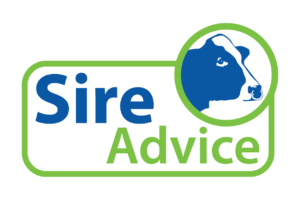 Read more about the article Optimise mating events for beef and dairy bulls with Sire Advice this breeding season