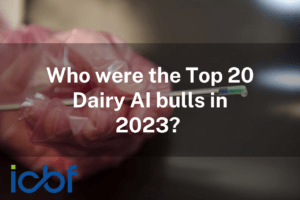 Who were the Top 20 Dairy AI bulls in 2023?