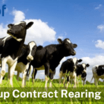 How to link Contract Reared animals back to your HerdPlus profile