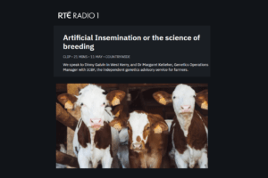 Read more about the article RTE CountryWide – ‘Artificial Insemination or the science of breeding’