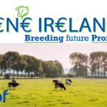 Dairy Gene Ireland Update-19,628 Straws Ordered