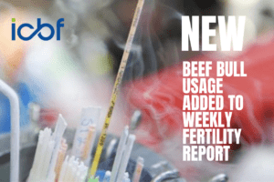 Read more about the article NEW – Beef Bull Team Usage Added to Weekly Fertility Report