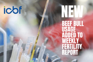 NEW – Beef Bull Team Usage Added to Weekly Fertility Report