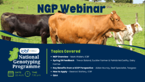 Read more about the article NGP Webinar – Thursday 22nd August @7.30pm