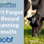 Don’t forget to record Pregnancy Diagnosis on ICBF