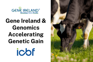 Read more about the article Gene Ireland and Genomics Accelerating Genetic Gain