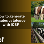 How to Create a Sales Catalogue on HerdPlus