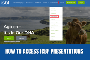 Read more about the article How to access ICBF presentations
