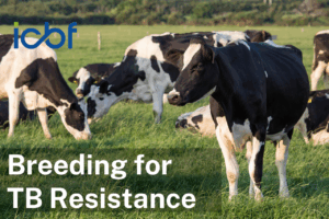 Read more about the article Breeding for TB Resistance in 2026