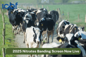 Read more about the article Nitrates Band Screen Goes Live 2025