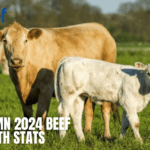 Beef AI Statistics: The class of Autumn 2024, who sired them?