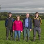 Joining NGP saved me €7000