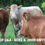 National Genotyping Programme Q&A – “We feel we can offer full traceability from conception to fork.”