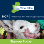 Would you like to genotype your breeding stock for FREE in 2025? (worth €1,800 for average 100 cow herd)
