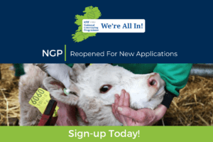 Would you like to genotype your breeding stock for FREE in 2025? (worth €1,800 for average 100 cow herd)