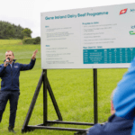 Gene Ireland Dairy Beef Programme – 10 Years of Collaboration