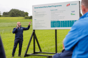 Gene Ireland Dairy Beef Programme – 10 Years of Collaboration