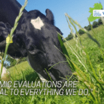 Harnessing the Power of Genetics: Padraig O’Connell’s Experience with the National Genotyping Programme