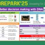 Moorepark Open Day 2025 – Better decision making with DNA