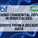 Tracking Congenital Defects in Irish Calves: Insights from a Decade of Data